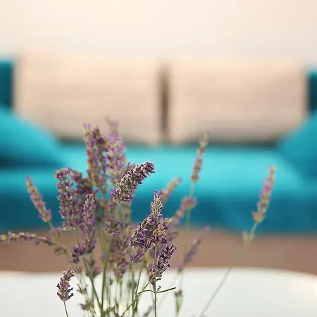 My Dream Apartment Zadar